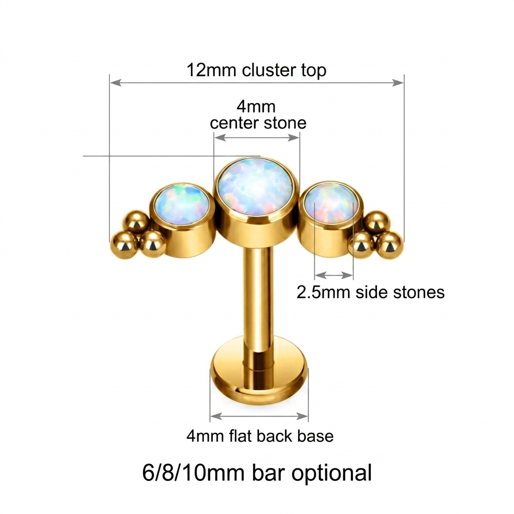 จิวเจาะริมฝีปาก/หู ไทเทเนียม G - Body Jewelry Flat Back บทวิจารณ์และราคา