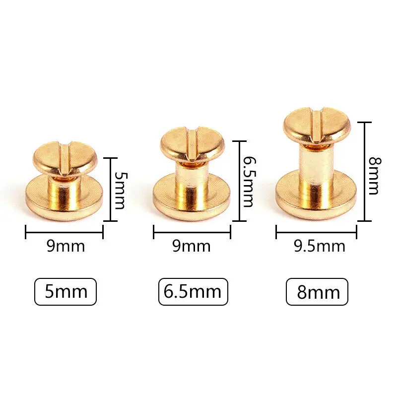 10 ชุด/20 ชิ้นกระเป๋าเดินทางหน - Body Jewelry Chicago บทวิจารณ์และราคา