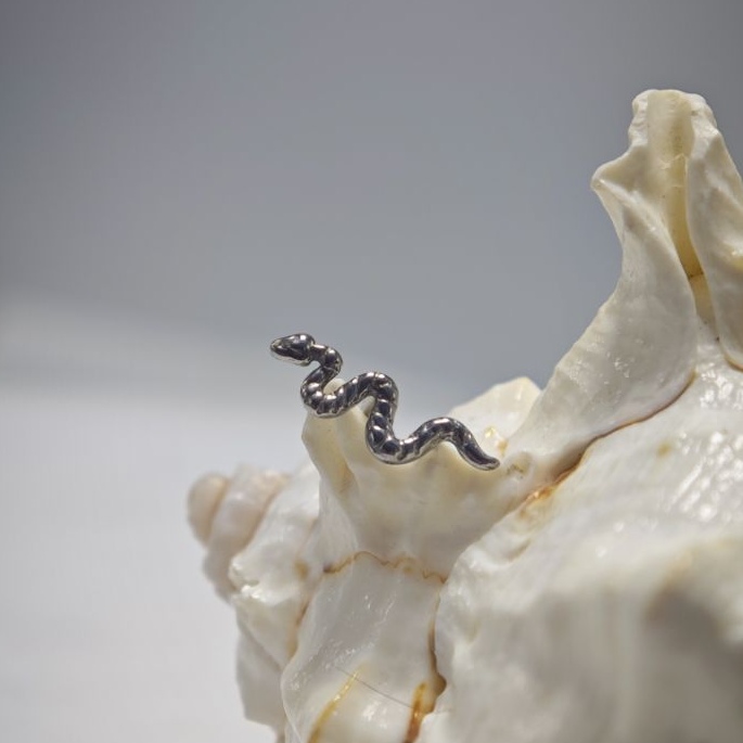 ต่างหูไทเทเนียมเกรด 16G ขัดเงา - Body Jewelry Implant Grade บทวิจารณ์และราคา