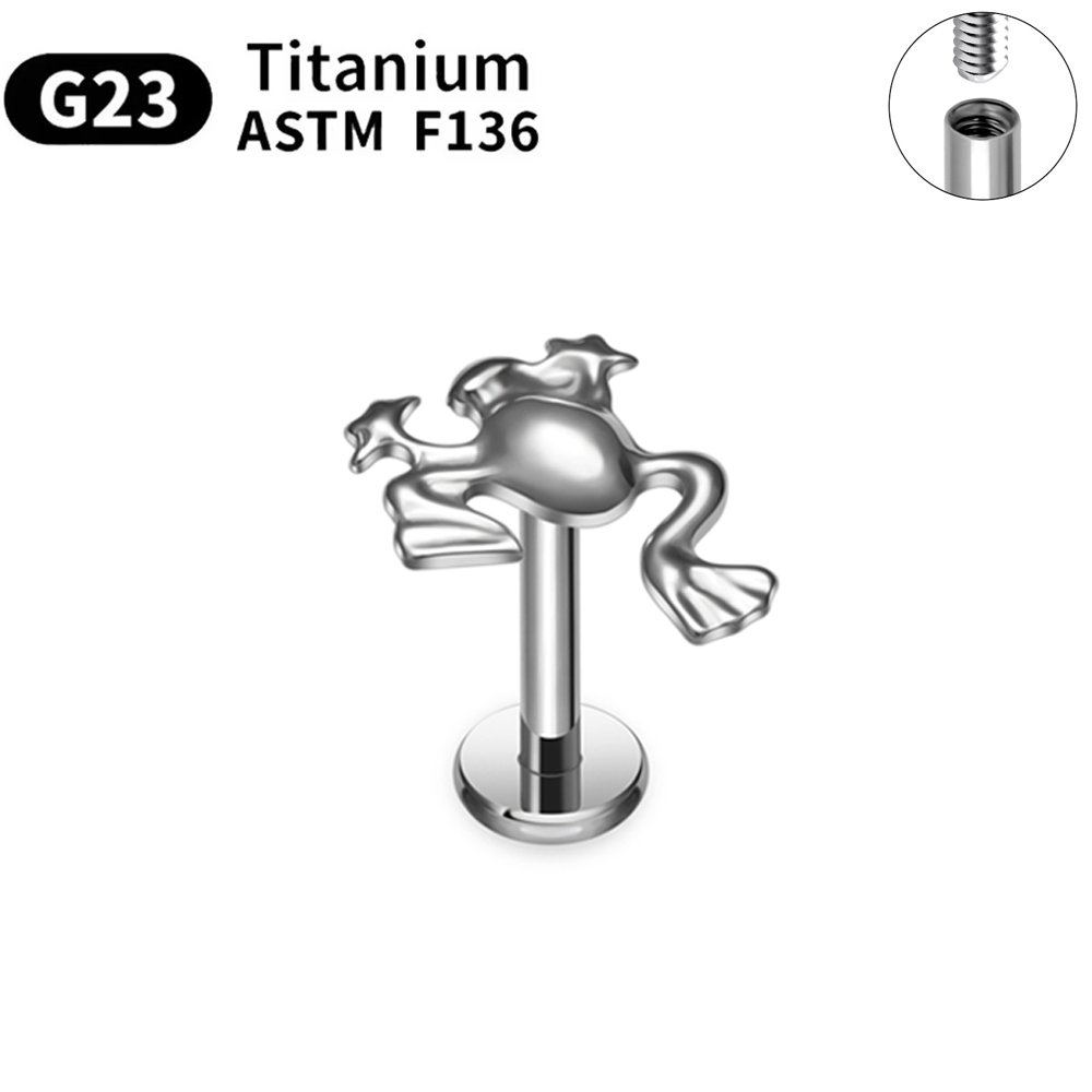 ชุดต่างหูไทเทเนียม ASTM F136 G - Body Jewelry Changing Kit บทวิจารณ์และราคา