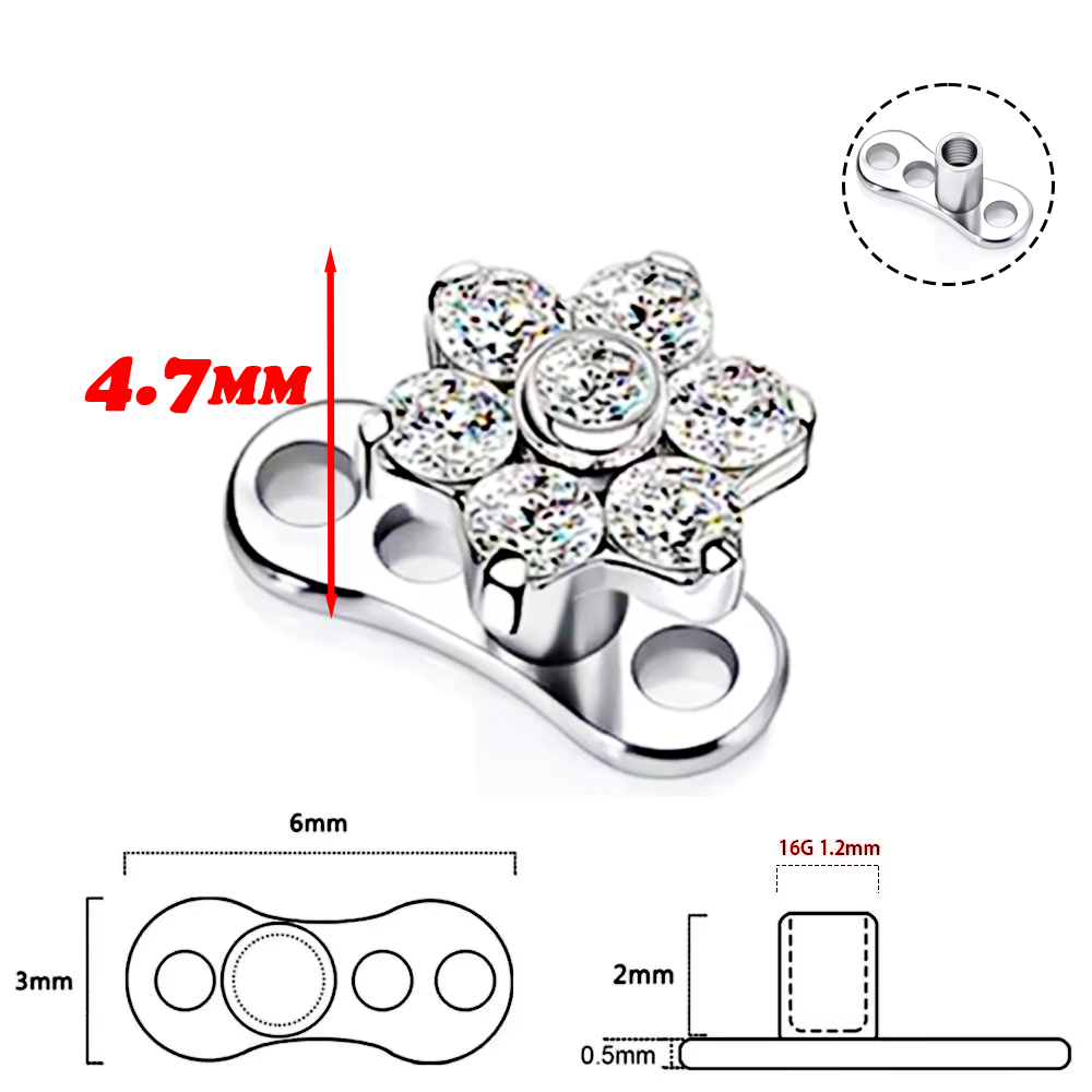 เครื่องประดับเจาะร่างกายแบบซ่อ - Body Jewelry Implant Grade บทวิจารณ์และราคา