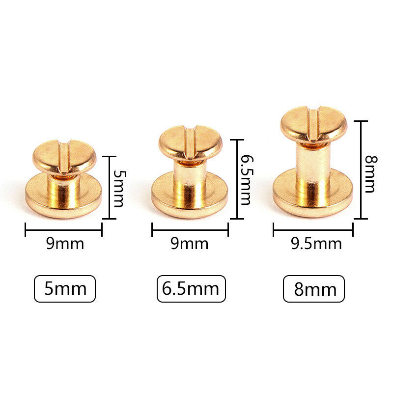 10 ชุด/20 ชิ้นแบนเข็มขัดสกรูเล - Body Jewelry Chicago บทวิจารณ์และราคา