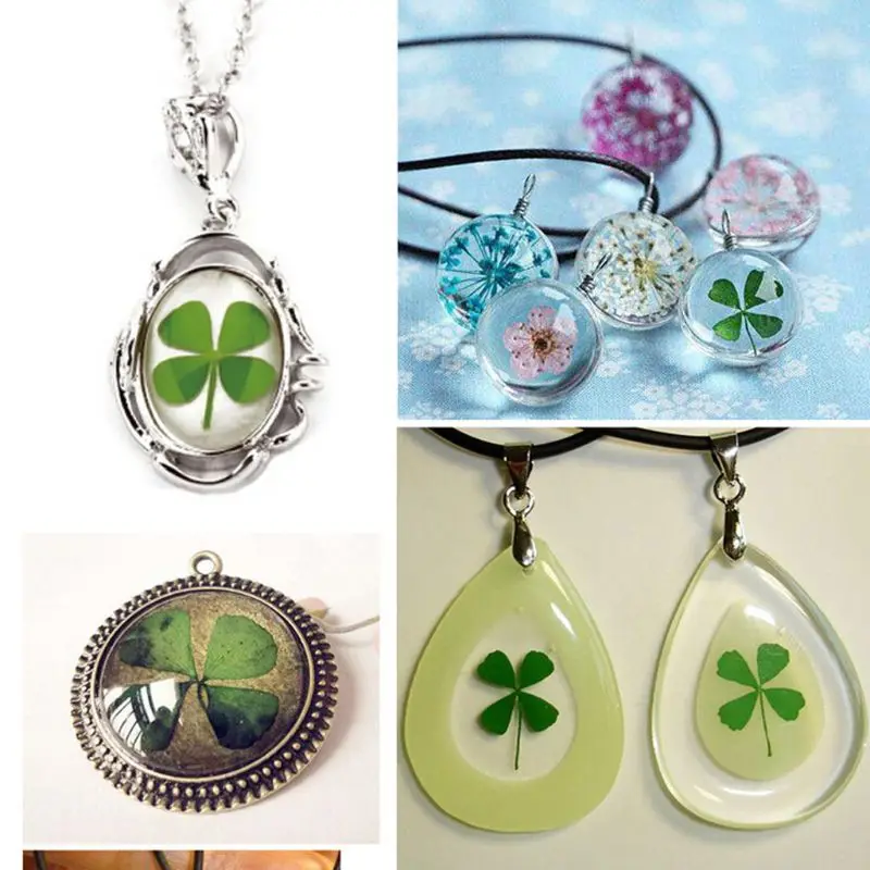 12 ชิ้น Lucky แห้ง Leaf Clover - Body Jewelry Display Case บทวิจารณ์และราคา